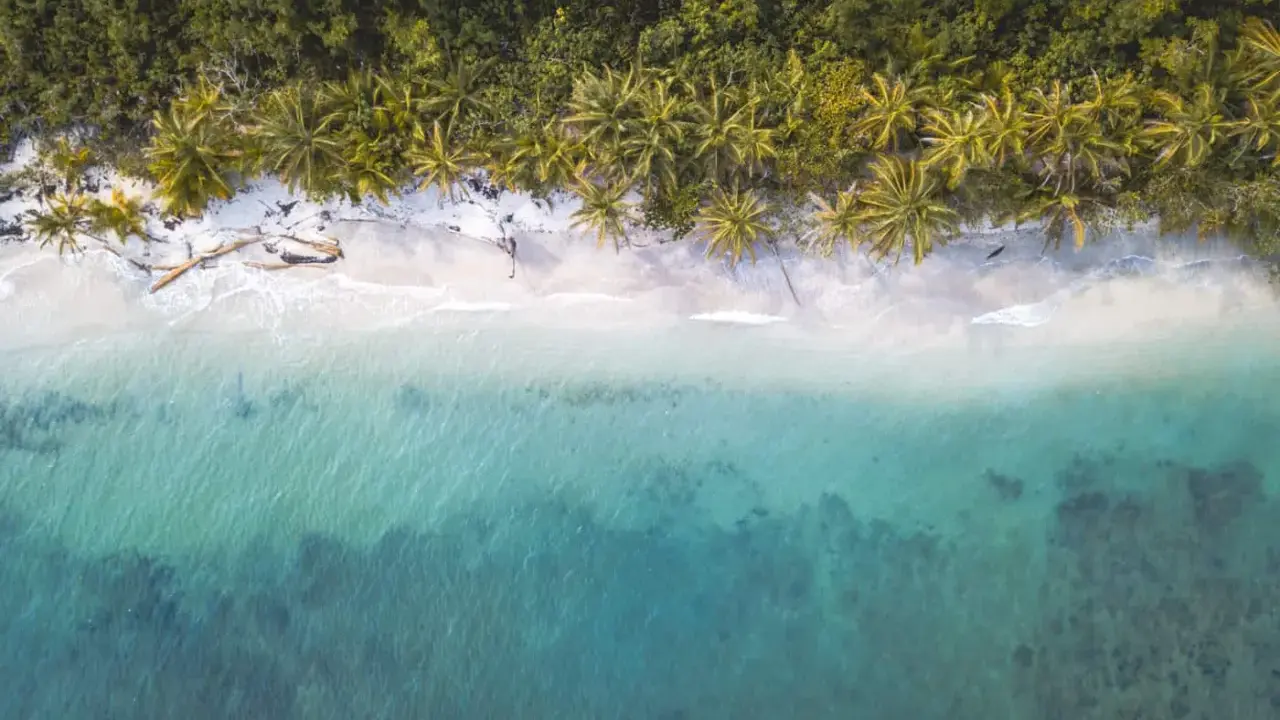 Traumhafter costa rica strand mit Palmen und türkisfarbenem Meer.
