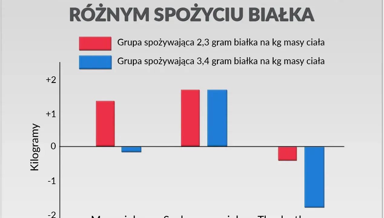 Wykres porównuje zmiany masy ciała, suchej masy i tkanki tłuszczowej przy różnym spożyciu białka: 2,3 vs 3,4 gram białka na kg masy ciała.