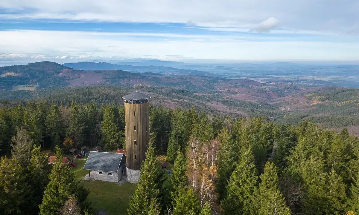 Wieża widokowa na borówkowej górze pośród gęstego lasu. Rozległa panorama krajobrazu.