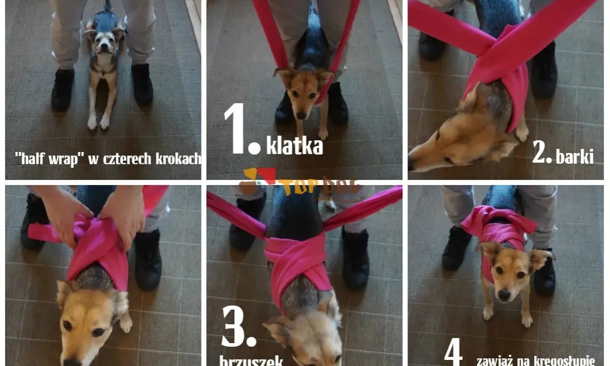 Instrukcja "half wrap" dla psa w czterech krokach. Nie strzelam w sylwestra, ale mój piesek czuje się bezpiecznie.