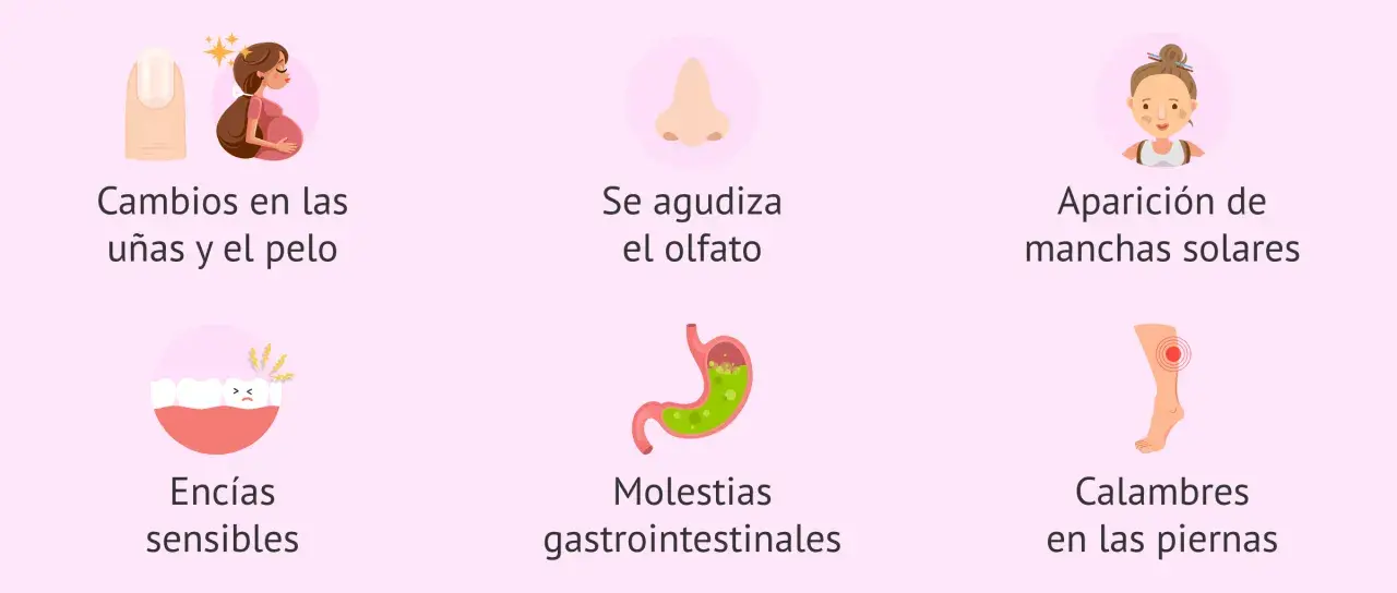 Síntomas comunes en la semana 11 de embarazo: cambios en uñas/pelo, olfato agudizado, manchas solares, encías sensibles, molestias gastrointestinales y calambres.