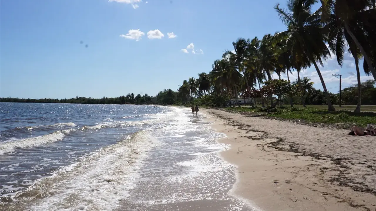 Piękna plaża, palmy, turkusowa woda. Idealne miejsce, by zapytać: Kuba kiedy jechać?