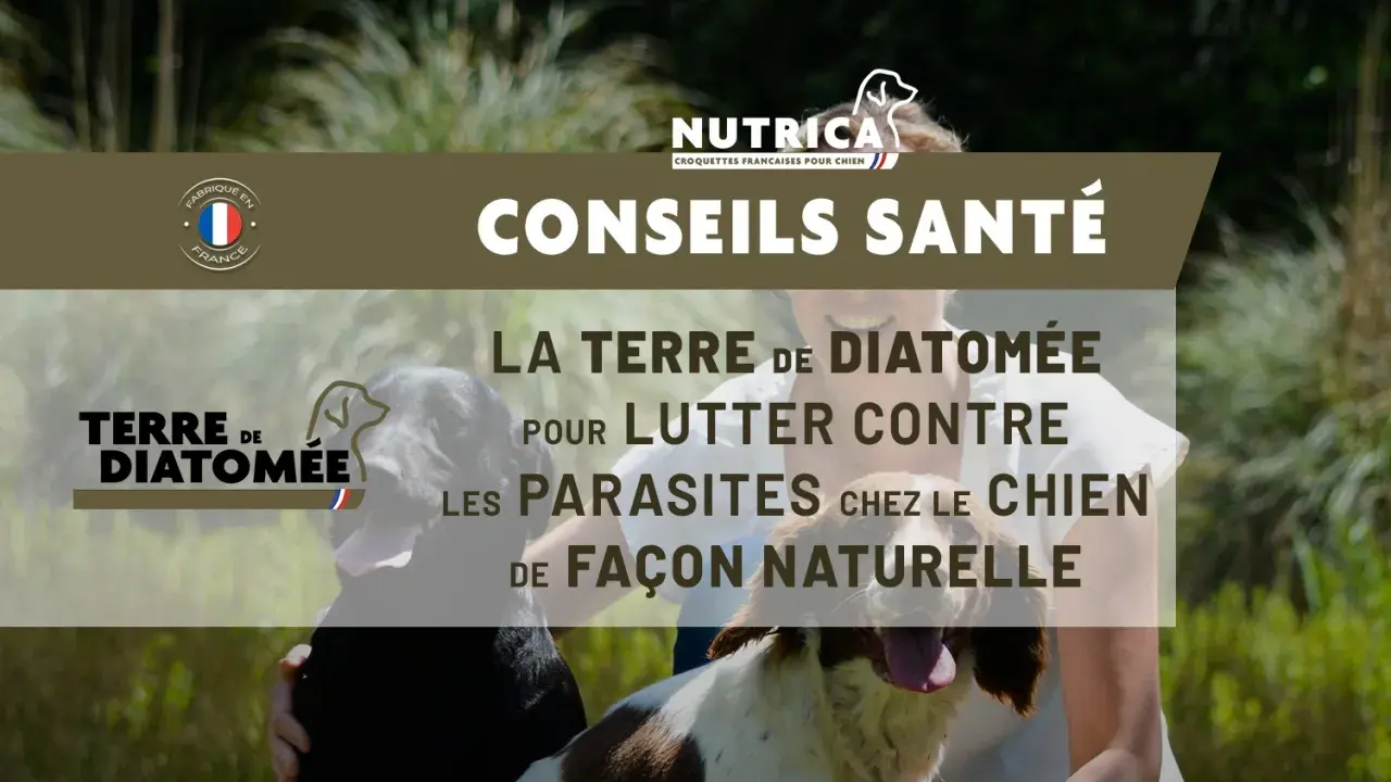Conseils santé : la terre de diatomée pour lutter naturellement contre les parasites chez le chien. Fabriqué en France.