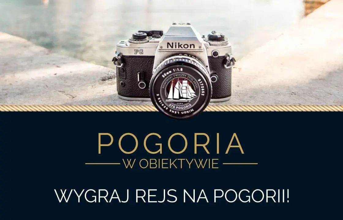 Wygraj lustrzankę: Gdzie szukać konkursów i jak wygrać?
