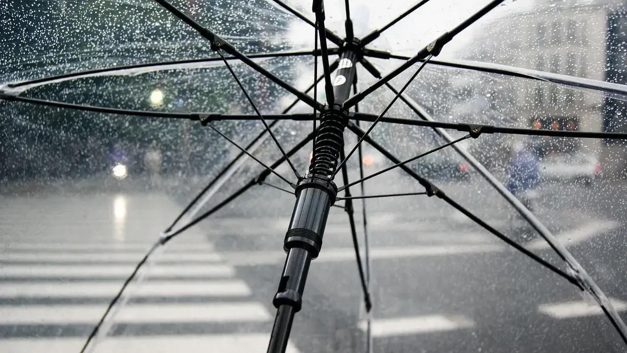 Przezroczysty parasol w deszczu, z widocznym stelażem i kroplami wody. Zastanawiasz się, czy można zabrać parasol do samolotu?