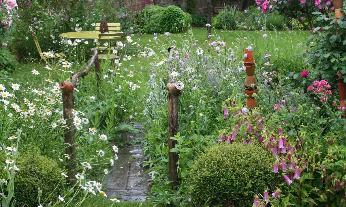 Un charmant jardin de curé, sauvage et fleuri, avec un chemin de dalles mouillées, des marguerites, des campanules et une table de bistrot.