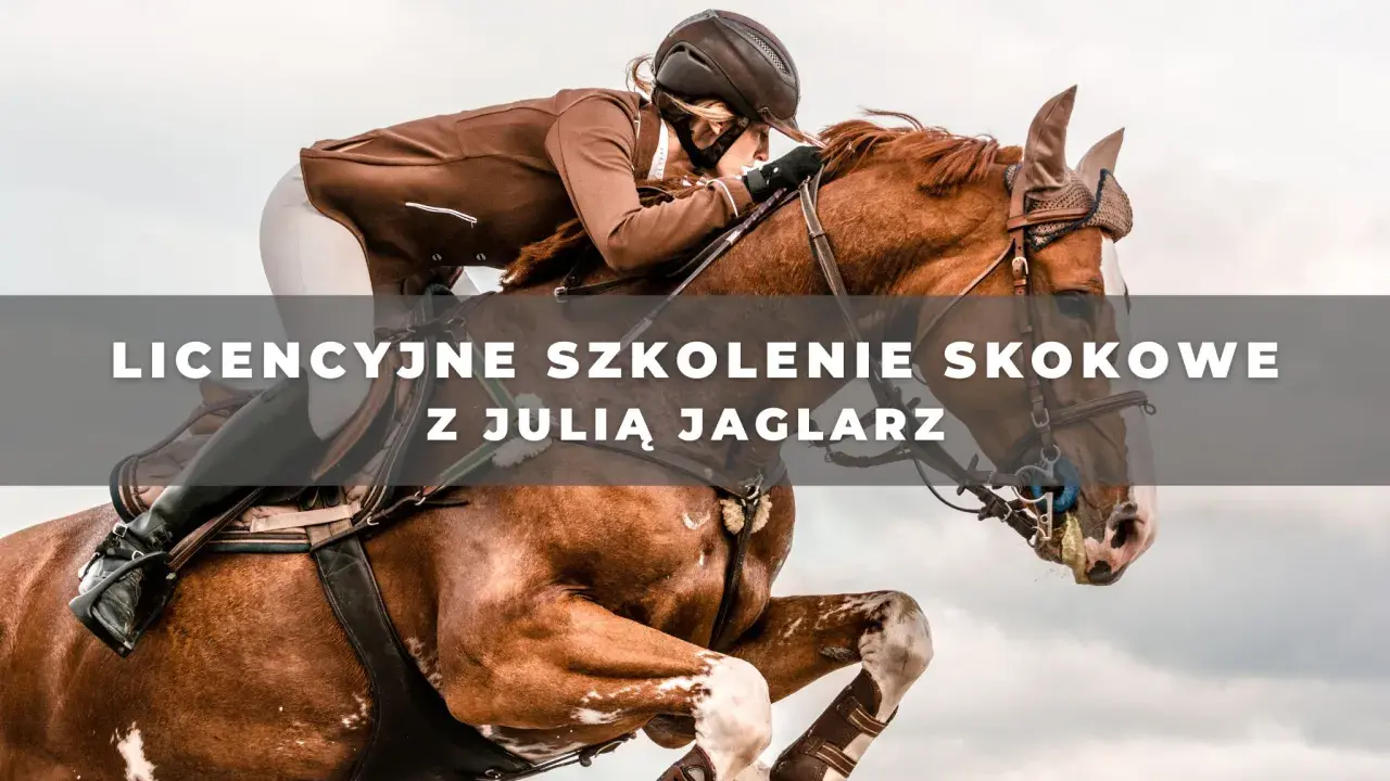 Jeździec w brązowej kurtce skacze na koniu przez przeszkodę.