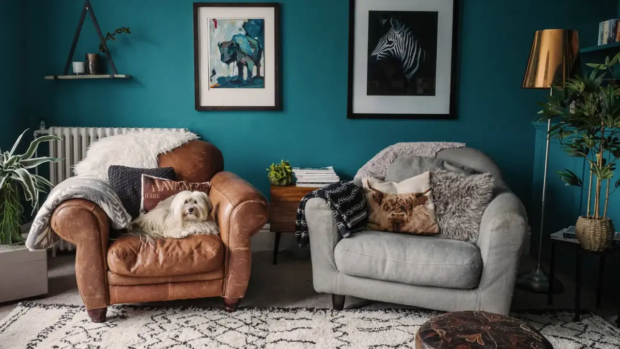 Un cane bianco su una poltrona di pelle marrone, con pareti color marrs green e quadri di animali.