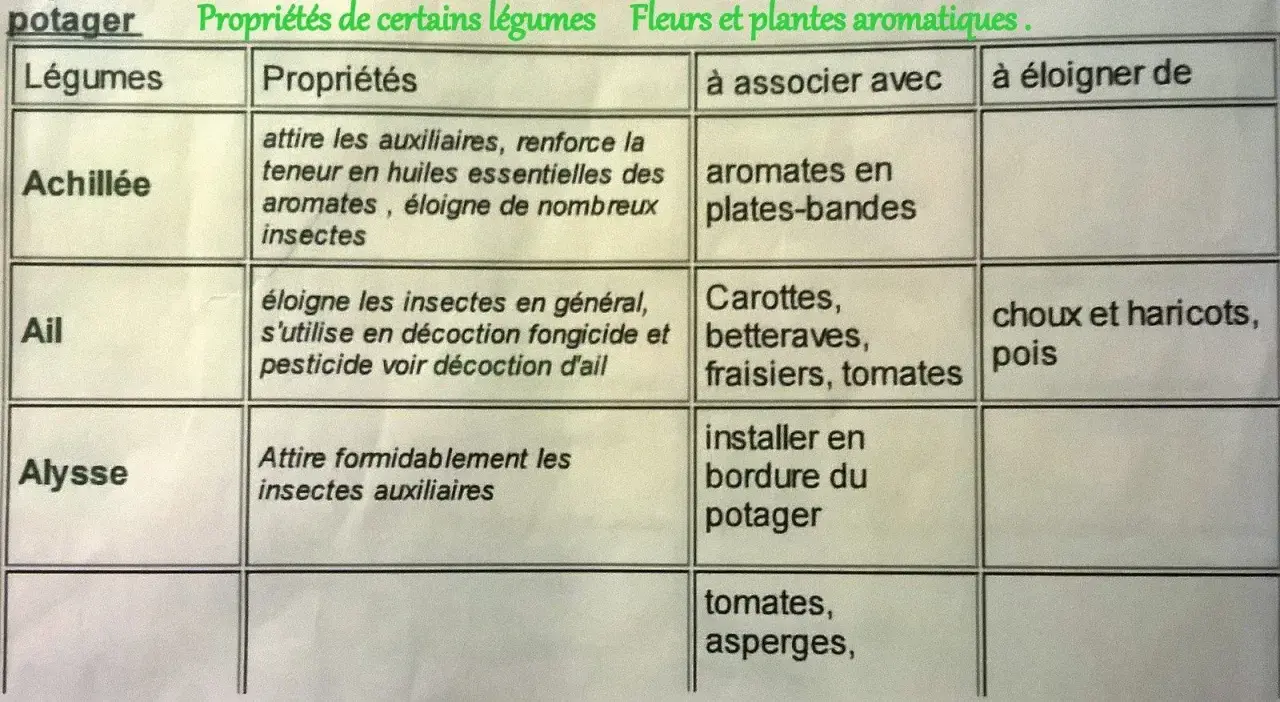 Tableau des plantes compagnes : Achillée, Ail, Alysse et leurs propriétés, associations et éloignements pour le potager.