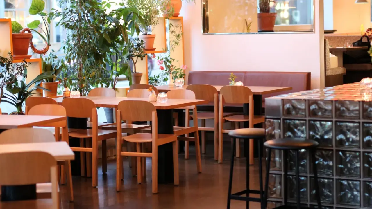 Mysig restaurang med många växter. Bord och stolar i trä. Belysning skapar en varm atmosfär. Bra ställe för bise recensioner.