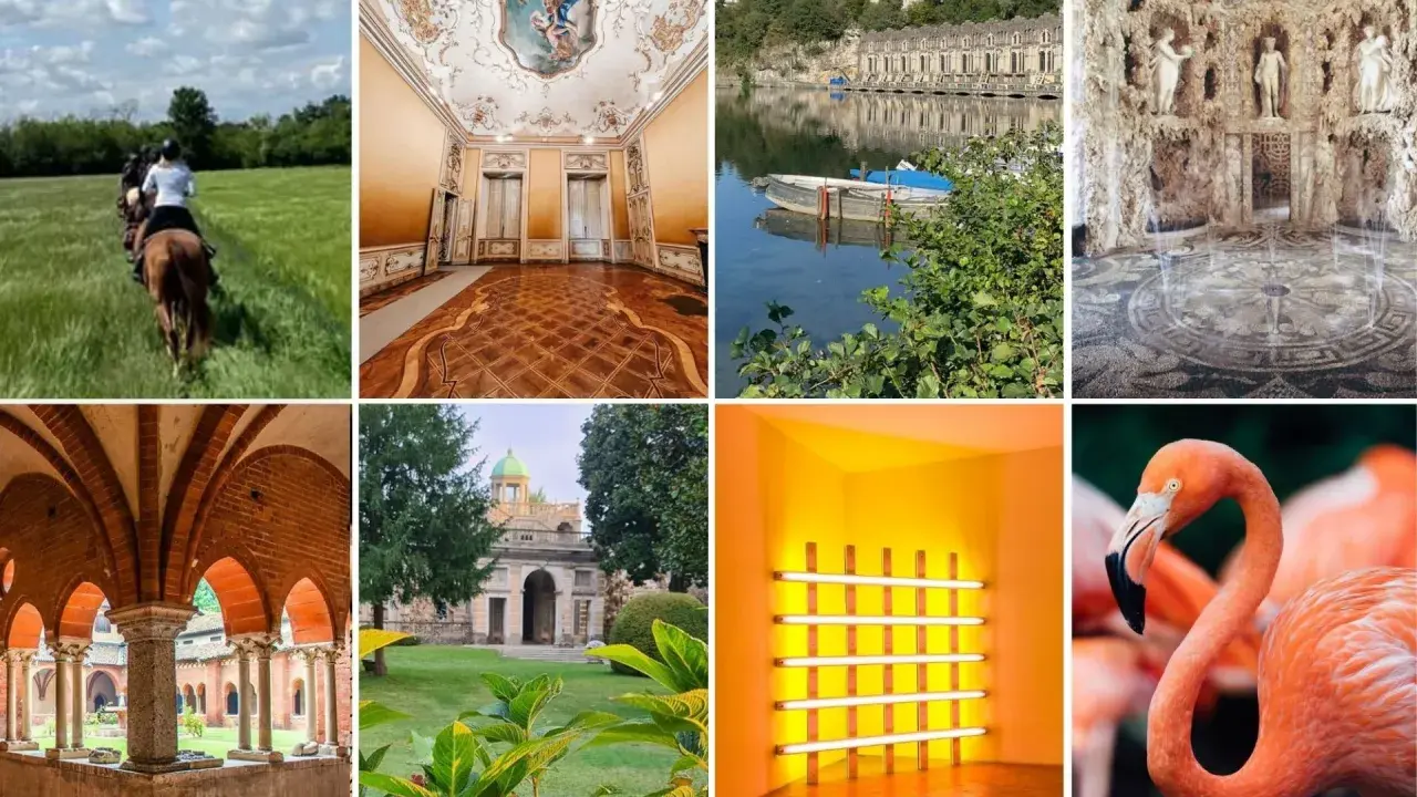 Una mezza giornata fuori Milano: cavalcata, ville storiche, lago, grotte, giardini e fenicotteri.