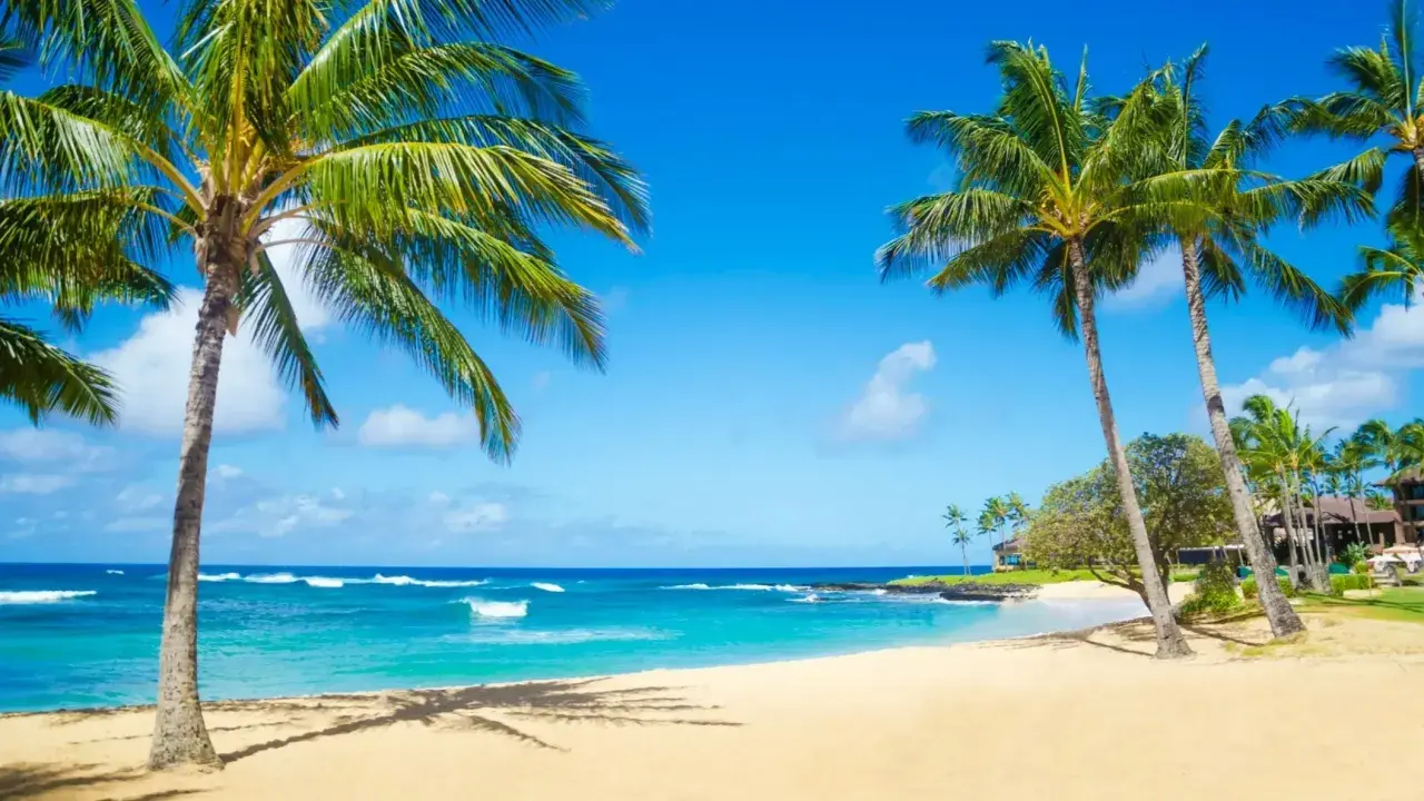 Traumhafter Hawaii Beach mit Palmen, türkisblauem Wasser und sanften Wellen unter strahlend blauem Himmel.
