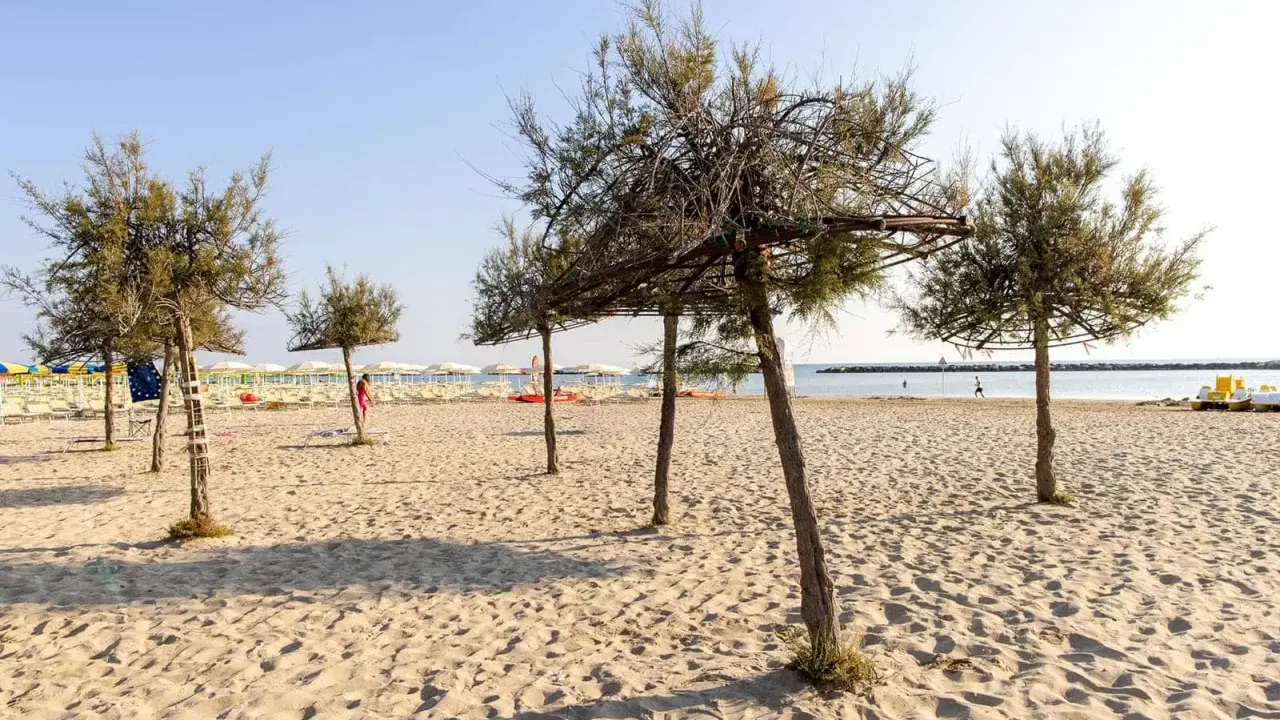 Alberi di tamerici creano ombra sulla spiaggia dorata. In lontananza, lettini e ombrelloni attendono i bagnanti.
