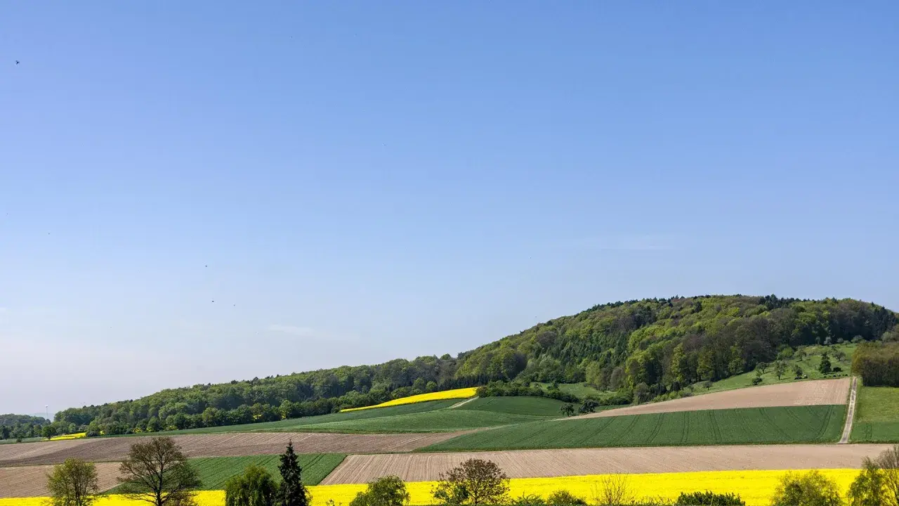 Bunte Felder erstrecken sich am Fuße des bewaldeten Stemweder Berg. Gelbe Rapsfelder und grüne Getreidefelder wechseln sich ab.