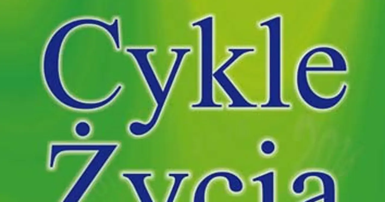 Niebieskie litery na zielonym tle tworzą napis "Cykle życia". Numerologia pomaga zrozumieć te cykle.