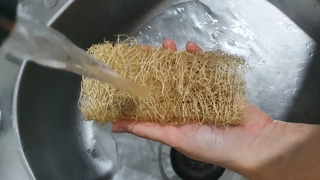 Ein Luffa Schwamm wird unter fließendem Wasser in der Spüle gereinigt.