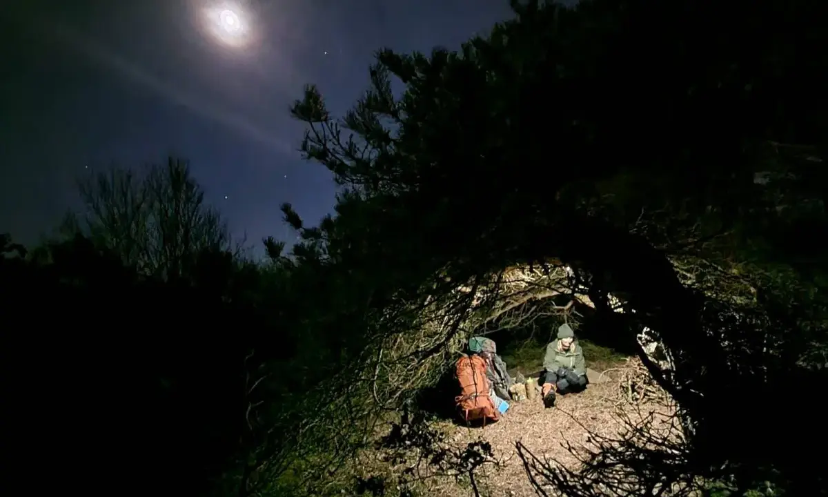Två personer sitter under en grenig gran, redo att sova under bar himmel. Månen lyser upp natthimlen.
