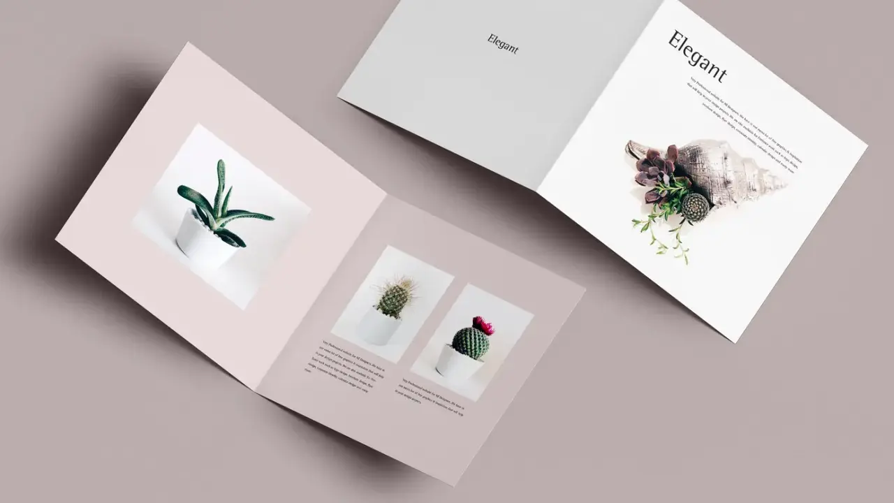 Díptico mockup con plantas en macetas blancas y una concha marina. Diseño elegante y minimalista.