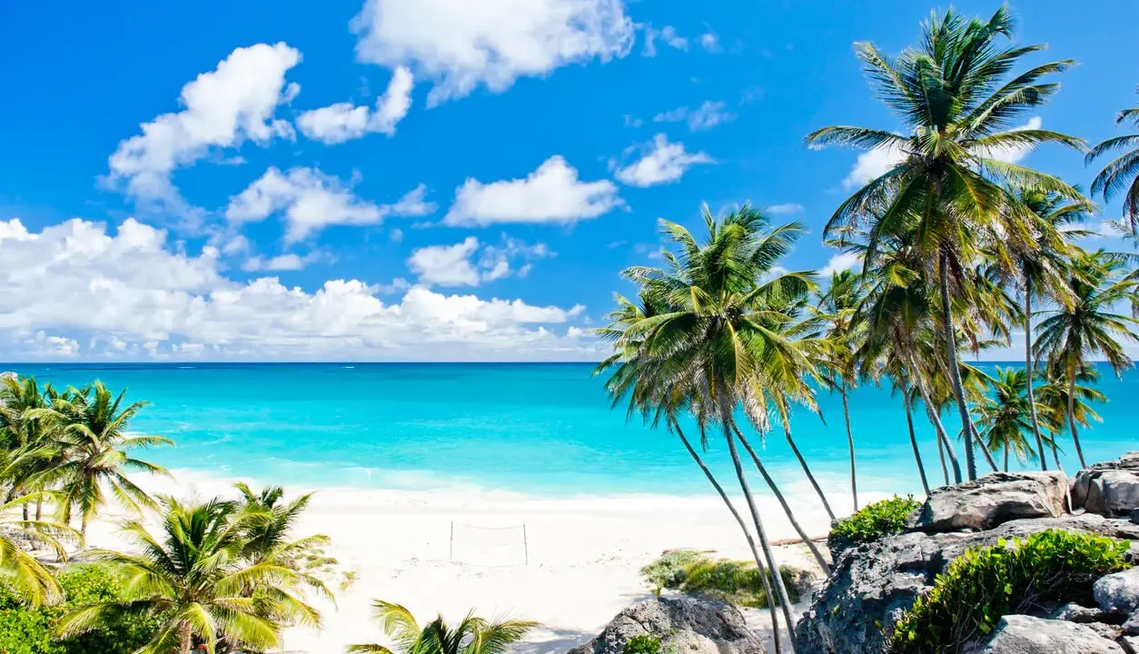 Traumhafter Strand auf Barbados mit Palmen und türkisblauem Meer. Die beste Reisezeit für dieses Paradies ist jetzt!