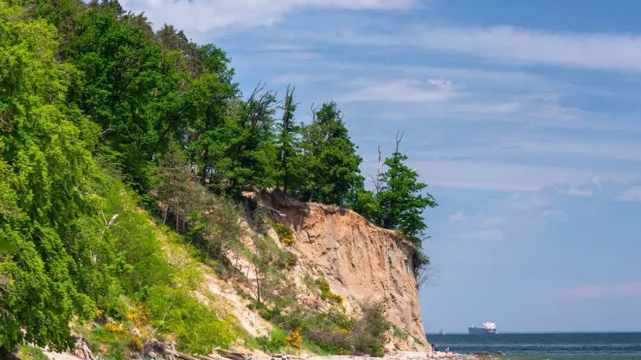 Piękny dzień nad morzem, klif porośnięty drzewami, piaszczysta plaża z spacerującymi ludźmi i statkiem na horyzoncie. Wspaniałe atrakcje nad morzem!