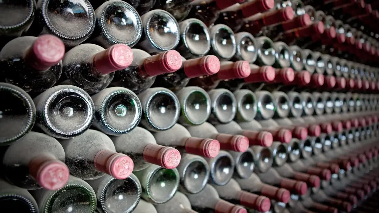 Staubige Wein­fla­schen, die auf­ge­reiht lagern. Die "crianza bedeutung" liegt in der Reife und dem Ausbau, der dem Wein seinen Charakter verleiht.