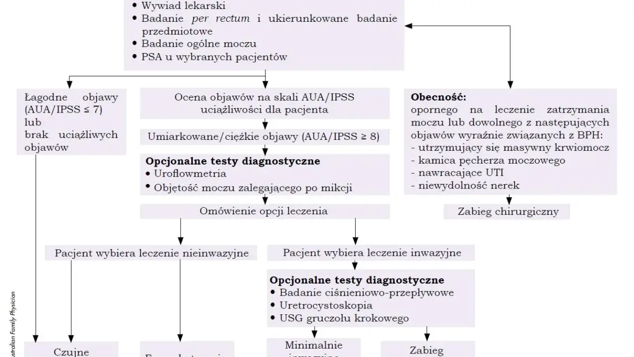 Schemat diagnostyczny BPH: USG gruczołu krokowego jako jedna z opcji po ocenie objawów i wyborze leczenia inwazyjnego.