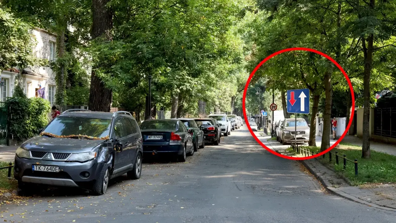 Na tej jednopasmowej drodze, wśród drzew, widać znak informujący o ruchu jednokierunkowym z możliwością wyprzedzania.