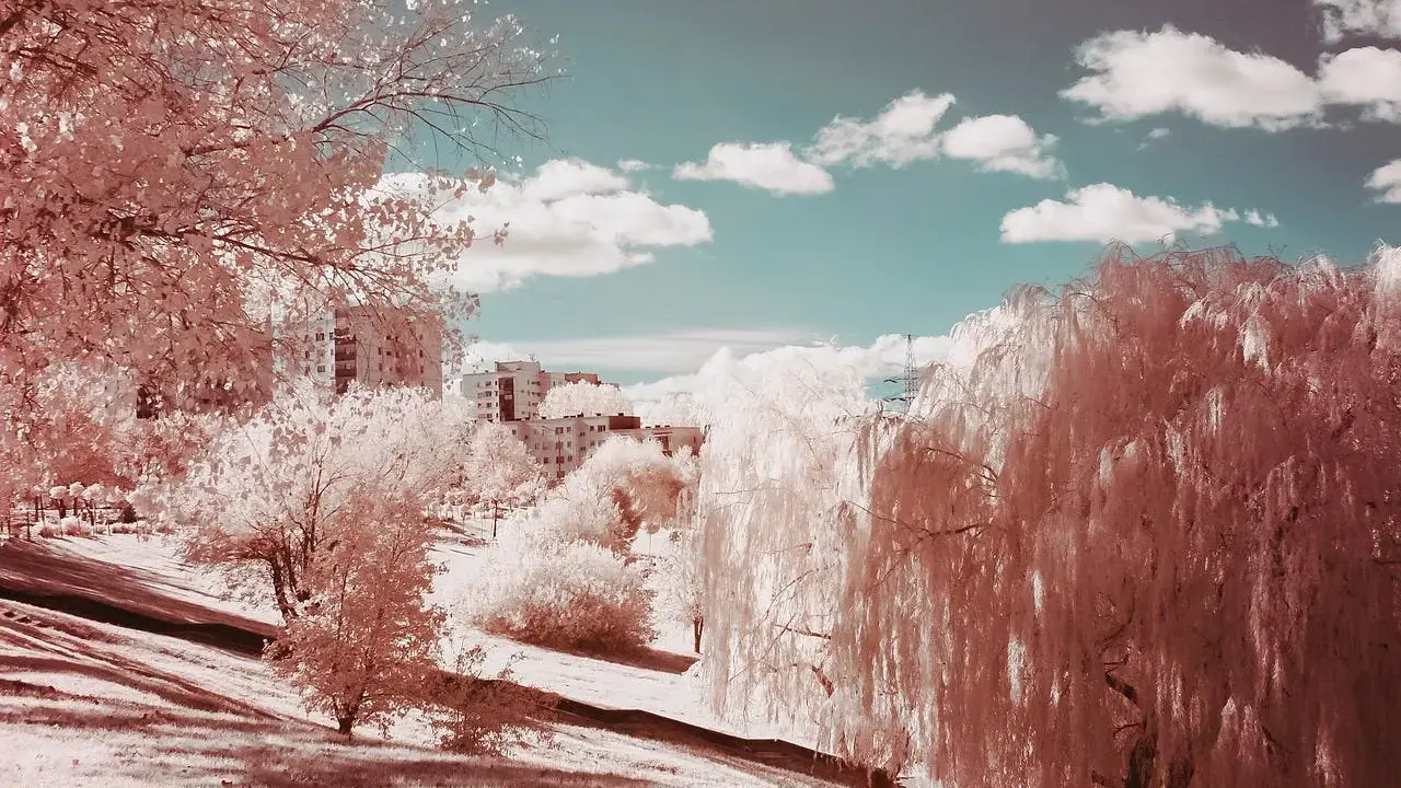 Paisaje urbano con árboles de sauce llorón y edificios, capturado en **fotografía infrarroja** con un cielo azul y nubes blancas.