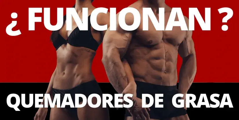Quema grasa y define: Suplementos con evidencia que sí funcionan
