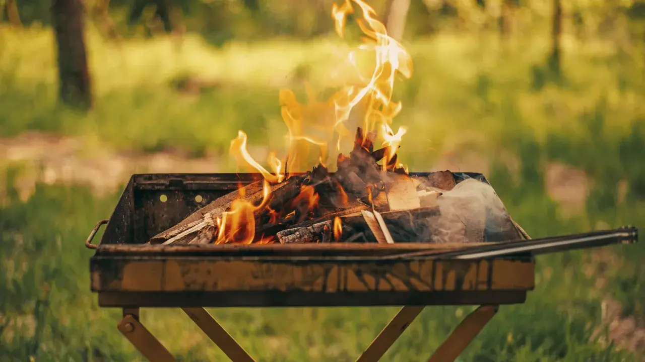 Un brasero crache des flammes vives, signe qu'il est temps de choisir quel bois pour barbecue afin de savourer un repas en plein air.