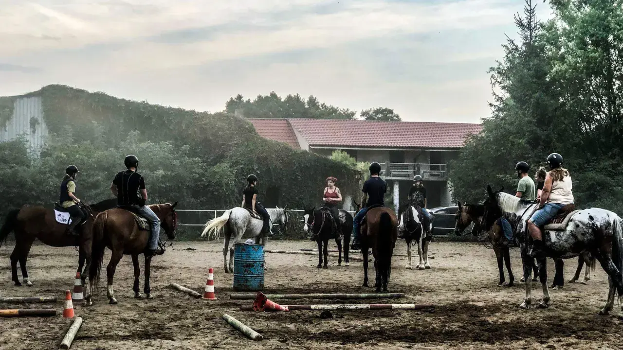Najlepsze stadniny koni koło Poznania: Jak wybrać idealną?
