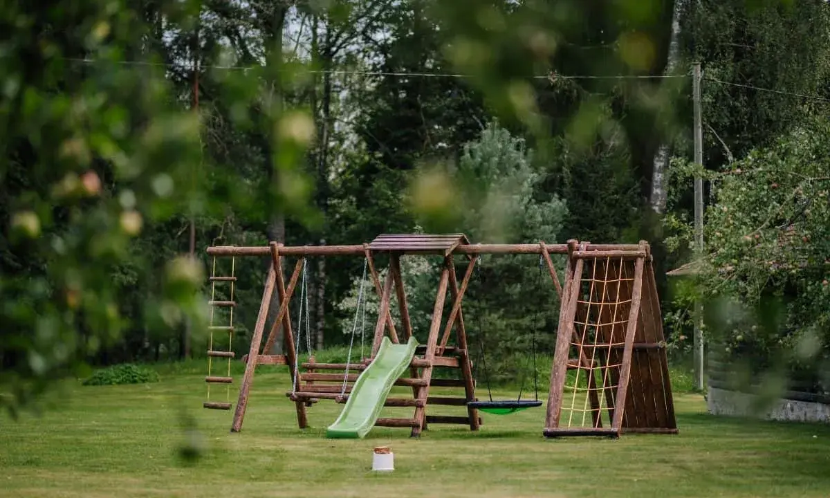 Jak zbudować bezpieczny małpi gaj w ogrodzie? Poradnik DIY