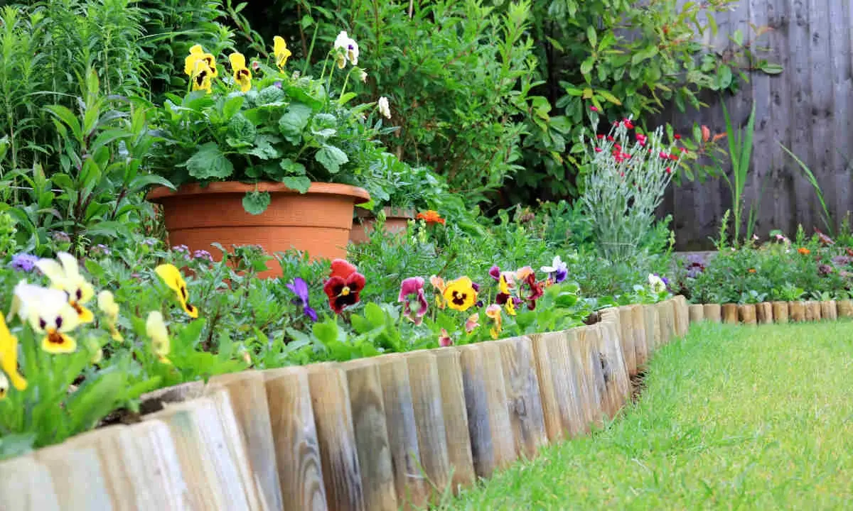 Un joli parterre de pensées colorées délimite le jardin avec une bordure en bois.