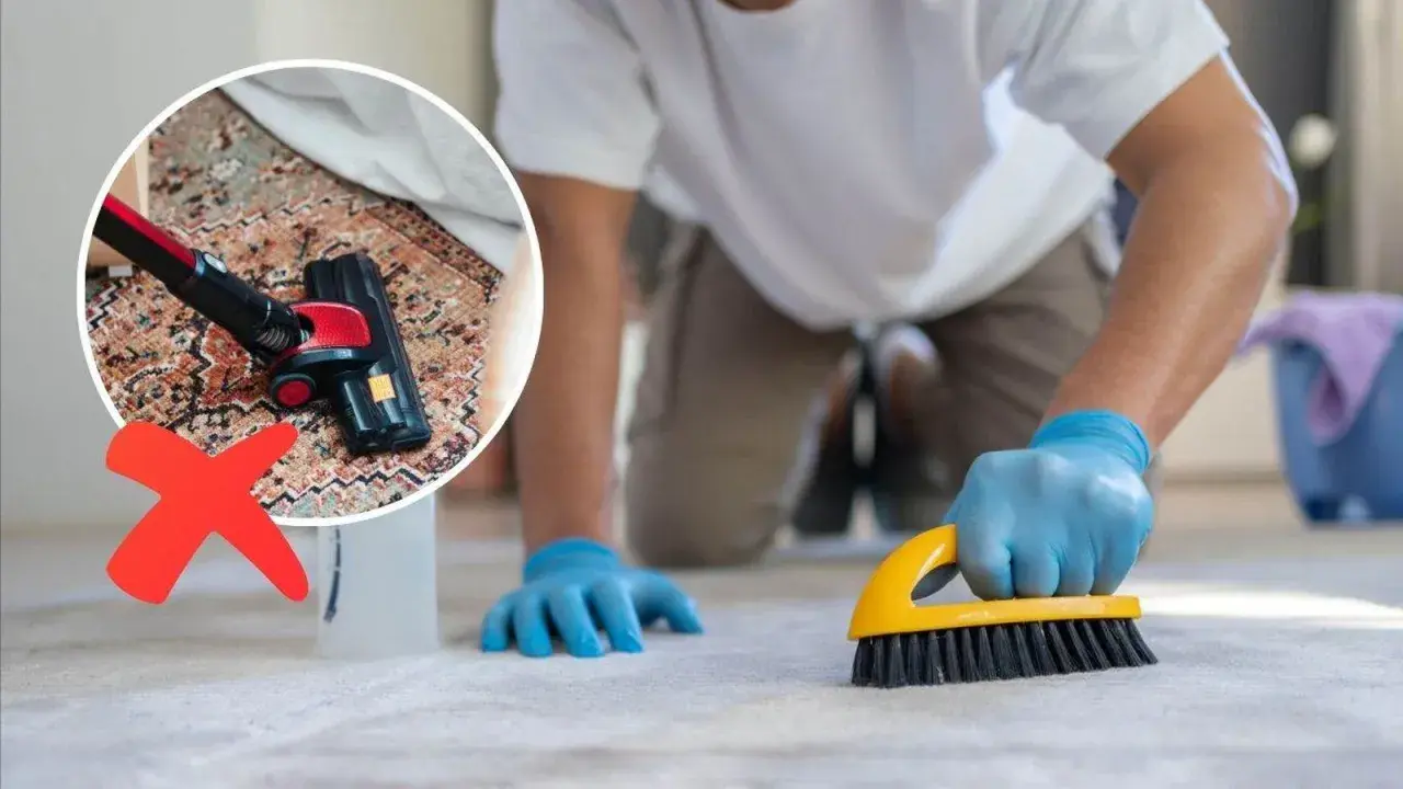 Hombre con guantes azules cepillando alfombra. Un círculo muestra aspiradora con cruz roja, indicando no aspirar. Limpiar alfombras en casa es más efectivo con cepillo.