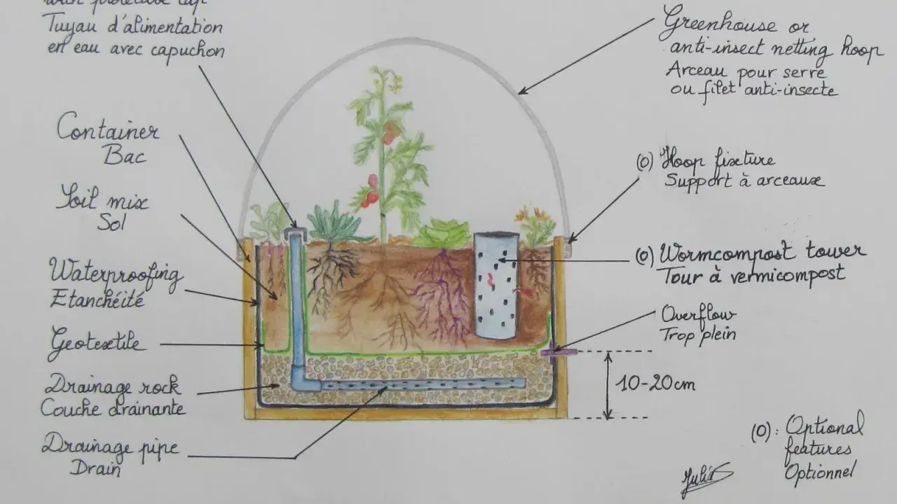 Schéma d'un **wicking bed francais** : bac, terre, tuyau d'eau, drainage, tour à vermicompost, sous serre.