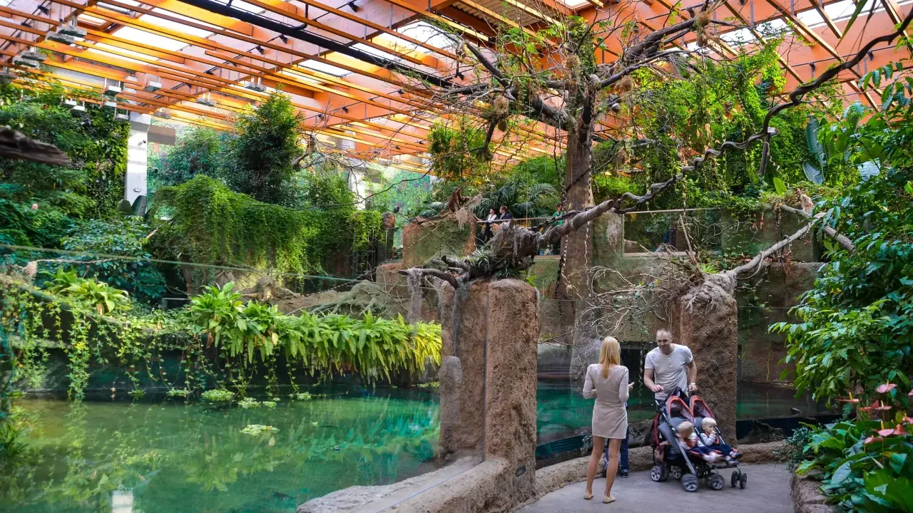 Afrykarium Wrocław: Jedyna taka Afryka! Bilety, dojazd, atrakcje