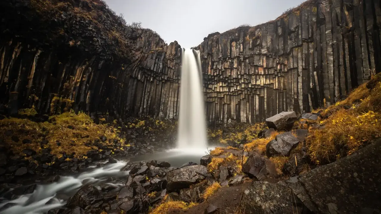 Svartifoss, najpiękniejszy wodospad, spada wśród bazaltowych kolumn. Woda tworzy mgiełkę, a jesienne trawy dodają koloru.
