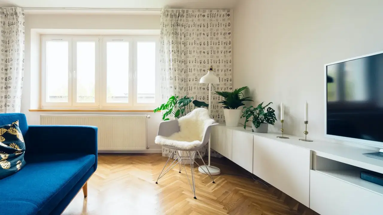 Jasny salon z niebieską kanapą i roślinami. Zasłony z wzorem pomogą jak wyciszyć pokój.