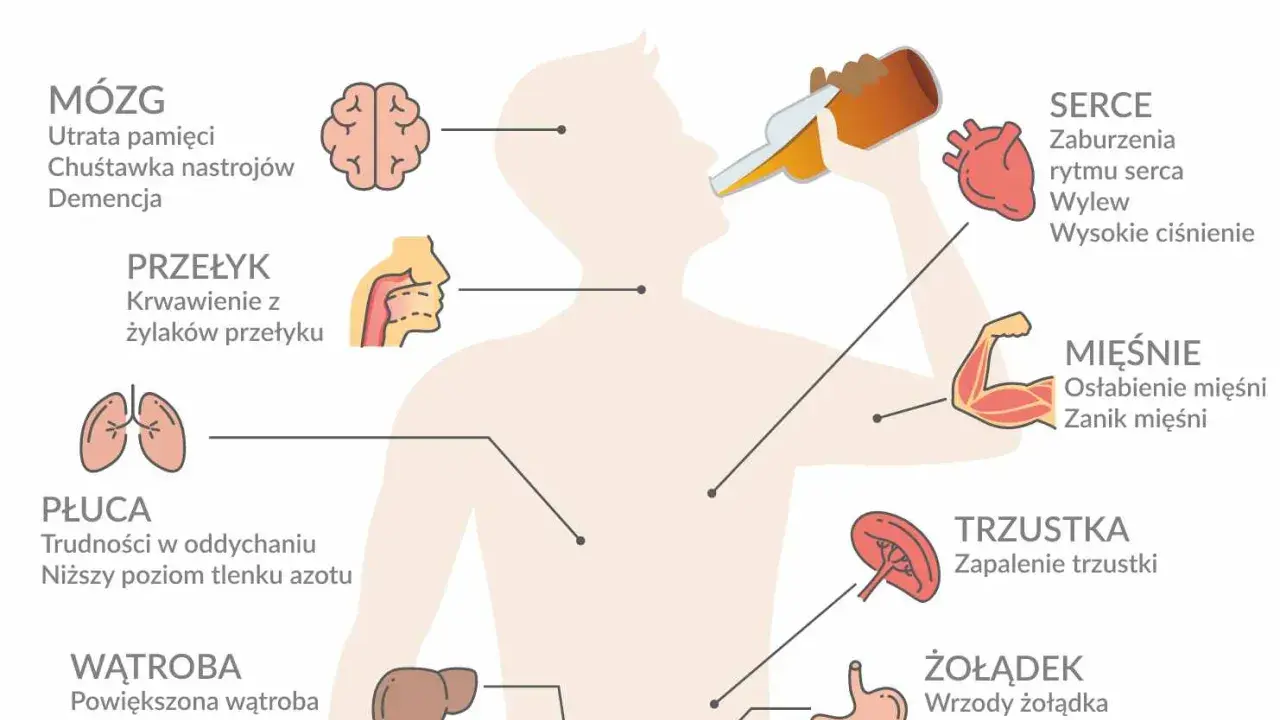 Negatywne skutki picia alkoholu: mózg (demencja, utrata pamięci), serce (wylew, wysokie ciśnienie), wątroba (marskość), żołądek (wrzody).