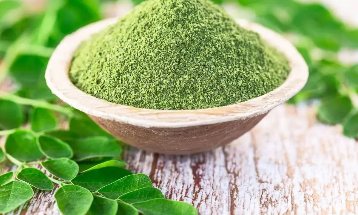 Moringa w proszku w drewnianej misce, otoczona świeżymi liśćmi. Zanim zaczniesz stosować, sprawdź moringa przeciwwskazania.