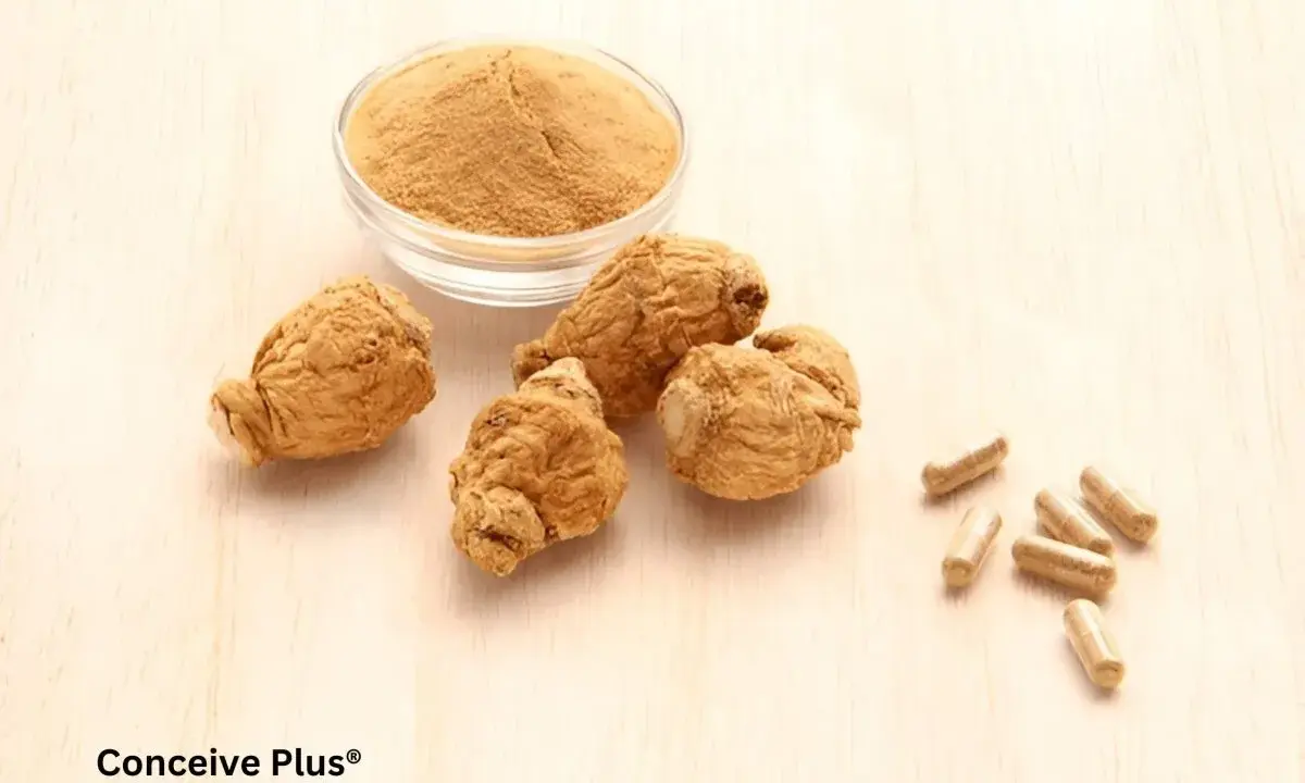 Racines de maca séchées, poudre de maca et gélules sur fond de bois clair. Le maca, une plante péruvienne, est présenté sous différentes formes.