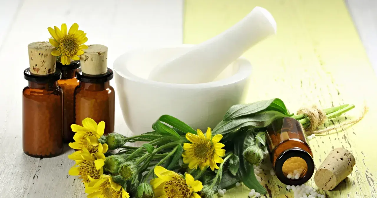 Maść arnikowa na co? Zobacz naturalne składniki i leki homeopatyczne, które pomagają w regeneracji.