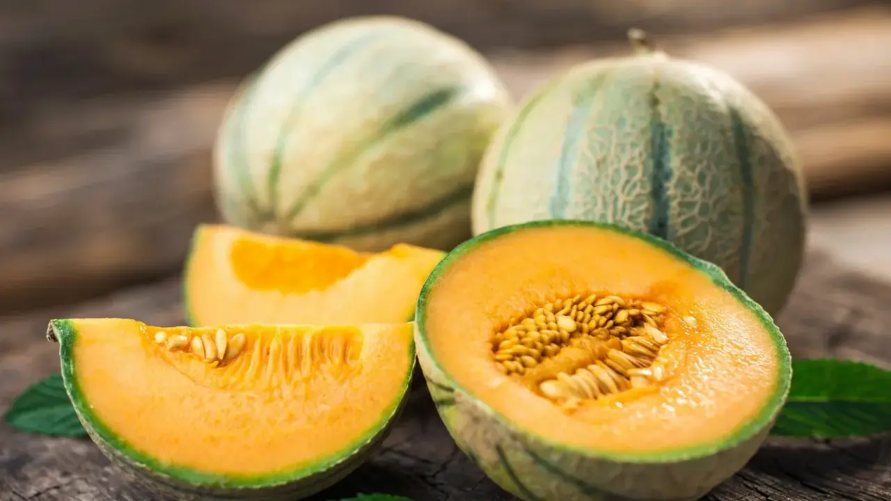 Des melons frais, prêts à être dégustés, témoignent du plaisir de cultiver le melon. La chair orange vif et les graines dorées invitent à la gourmandise.