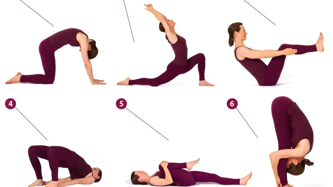 Frau in lila Kleidung übt Yoga-Posen, um die autochthone Muskulatur zu trainieren. Sechs nummerierte Übungen für Flexibilität und Kraft.
