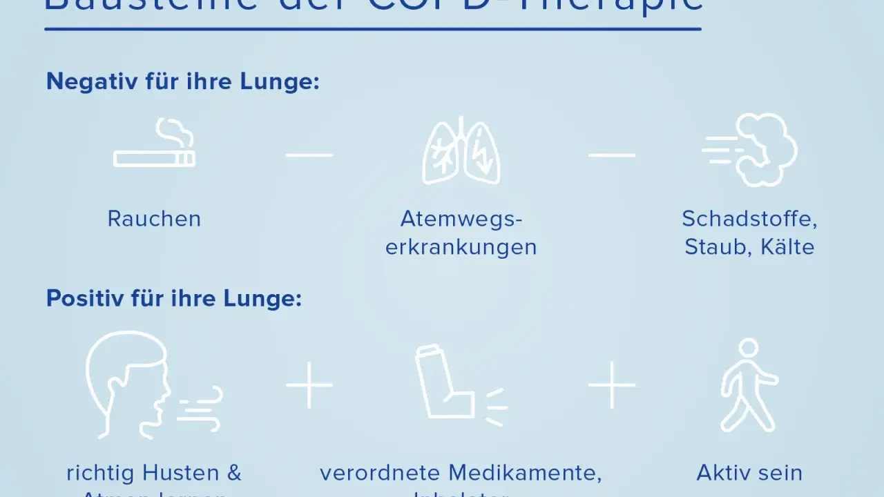 Bausteine der COPD-Therapie: Rauchen, Atemwegserkrankungen und Schadstoffe sind negativ. Richtig husten, Medikamente (wie der brimica wirkstoff im Inhalator) und Aktivsein sind positiv für die Lunge.