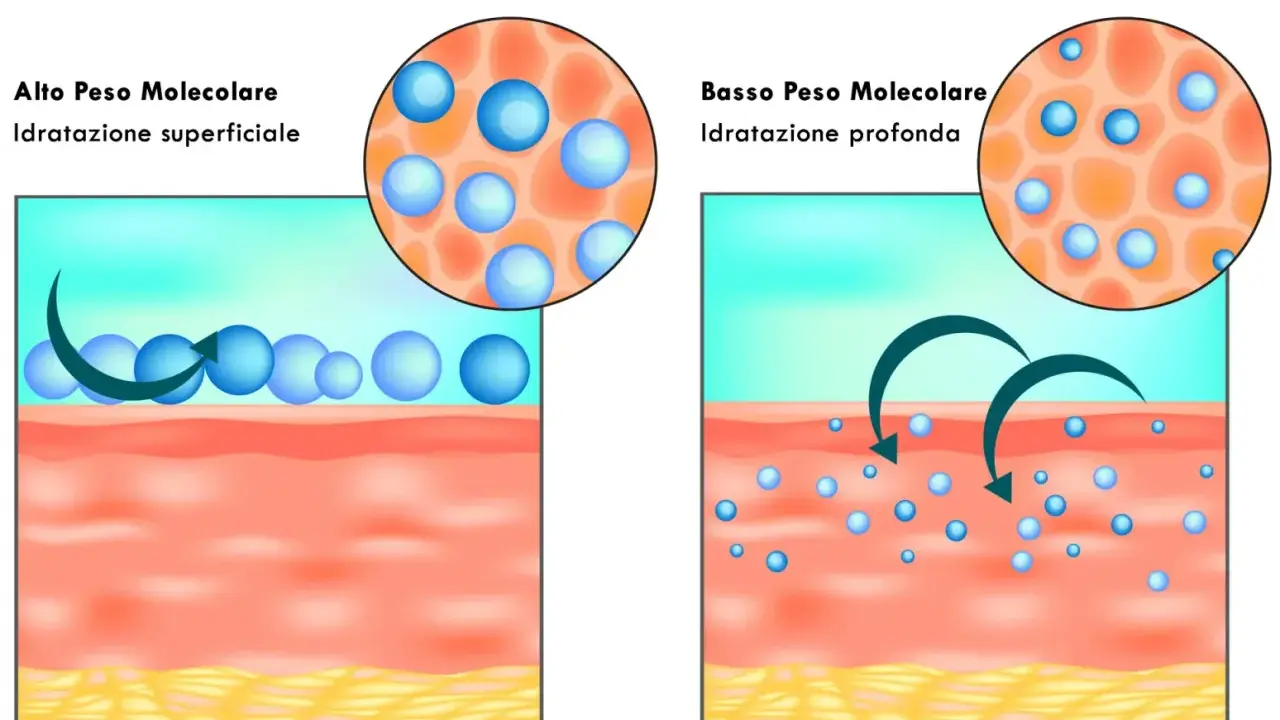 Acido ialuronico: alto peso molecolare per idratazione superficiale, basso peso molecolare per idratazione profonda.