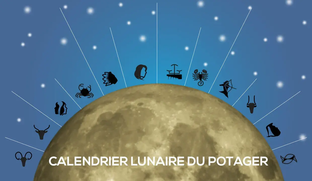 Calendrier lunaire du potager 2026 : la lune et les signes du zodiaque guident vos plantations.