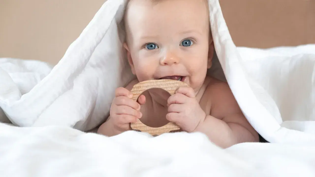 Ein Baby mit blauen Augen kaut auf einem Holzring. Vielleicht ist das der erster zahn baby, der durchbricht.