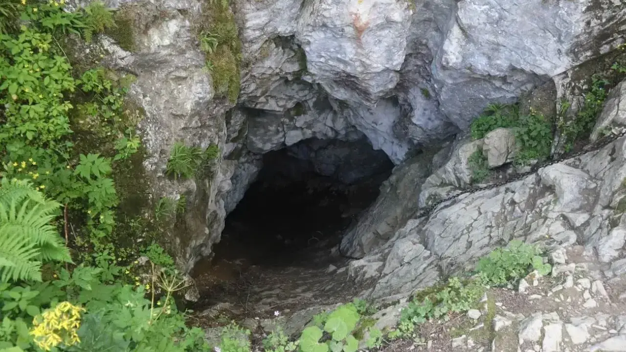 Wejście do Smoczej Jamy w Tatrach, otoczone zielenią i skałami. Ciemny otwór zaprasza do tajemniczego wnętrza.