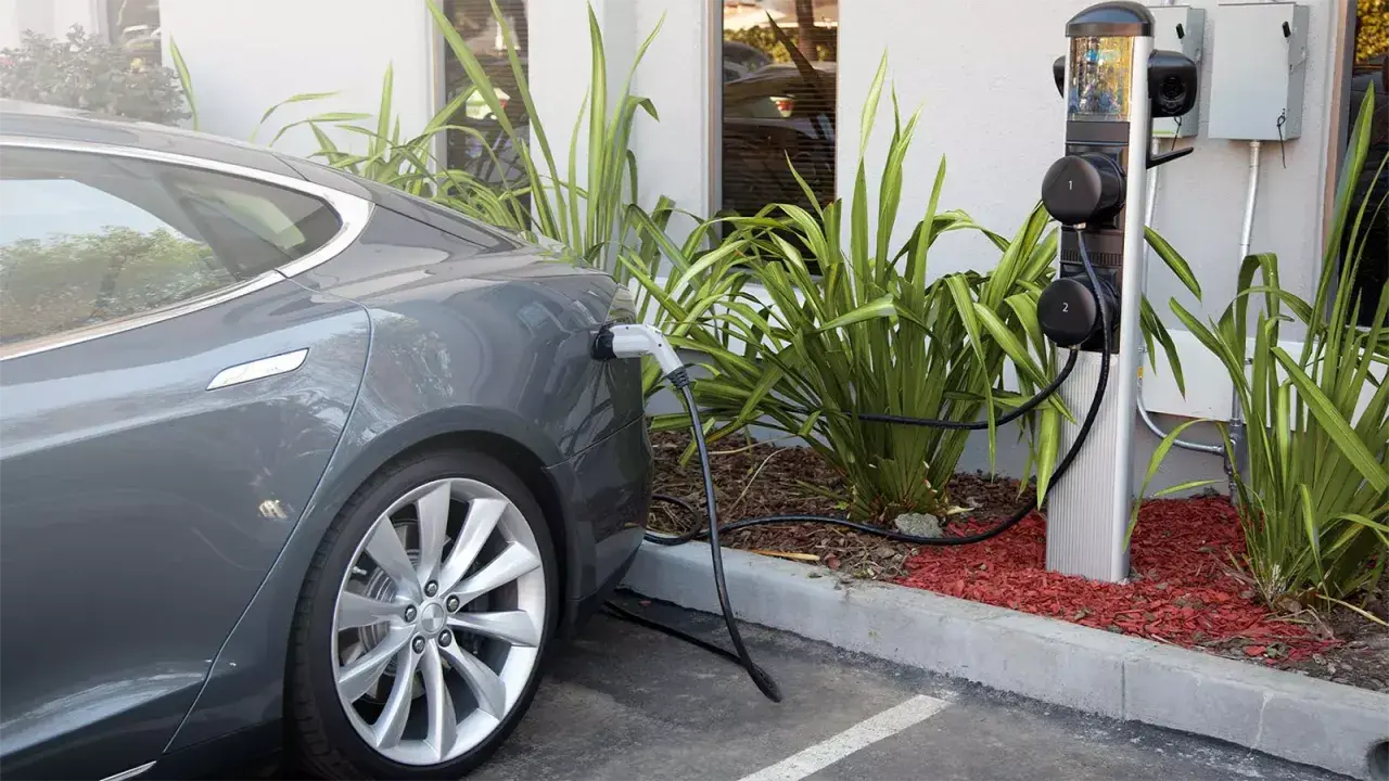 Coche eléctrico gris cargando en uno de los cargadores públicos. La estación tiene dos puntos de carga y está rodeada de vegetación.